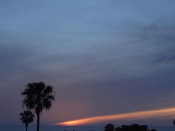 Low angle view of silhouette palm trees against sky at sunset