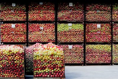 Multi colored apples in store