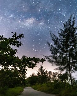 Low angle view of street amidst trees against sky at night