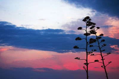 Low angle view of silhouette tree against sky