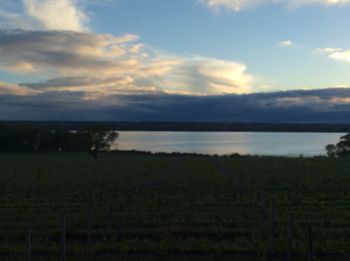 Scenic view of field against sky during sunset