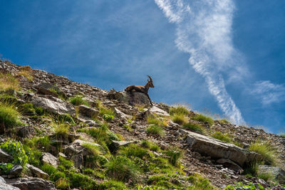 Scenic view of rocky mountain against sky