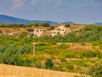 Scenic view of field by houses against sky