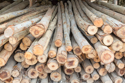 Full frame shot of logs in forest