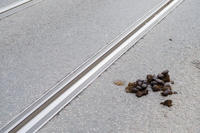 High angle view of food on road