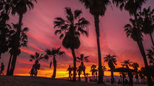 Silhouette palm trees on beach against sky during sunset