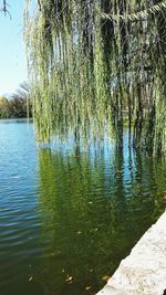 water