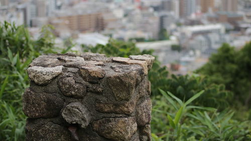 Close-up of old stone against building