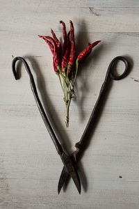 High angle view of red chili pepper on table