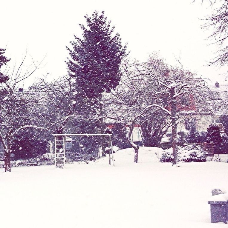 winter, snow, cold temperature, tree, season, weather, covering, bare tree, nature, field, clear sky, white color, landscape, tranquility, tranquil scene, fence, covered, built structure, day, park - man made space