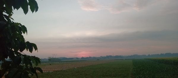 Scenic view of agricultural field against sky during sunset