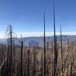 Panoramic view of land and mountains against sky