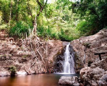 Scenic view of waterfall in forest