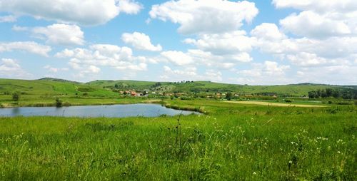 Scenic view of field against sky