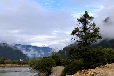 Scenic view of tree mountains against sky