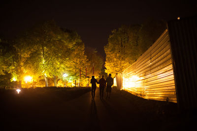 Silhouette people standing on illuminated street against sky at night