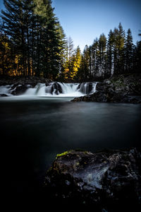 Scenic view of waterfall in forest against sky