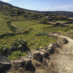 Scenic view of land against sky