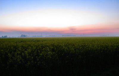 Scenic view of field against sky during sunset