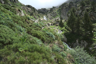 Scenic view of rocky mountains