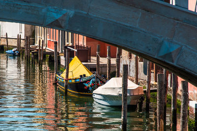 Rear view of men on wooden post in canal