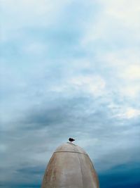 Low angle view of bird flying against sky