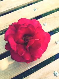 Close-up of red rose on wooden table