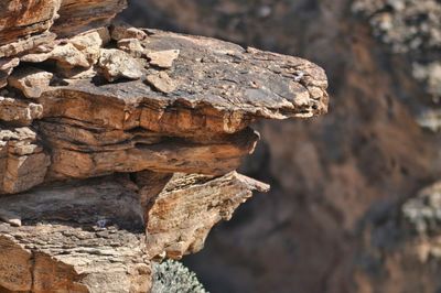 Close-up of rock formation