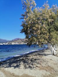 Scenic view of sea against clear blue sky