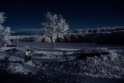 Trees on field against sky