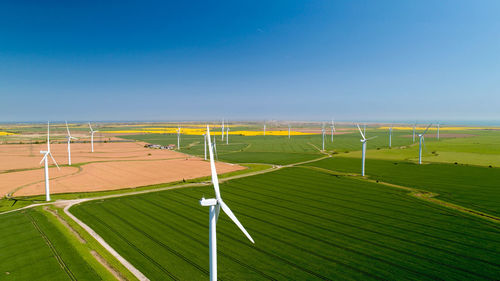 Scenic view of agricultural field against blue sky