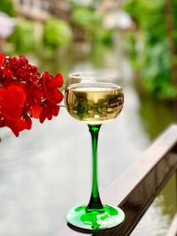 Close-up of red rose in glass