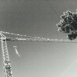 Aerial view of tree against sky