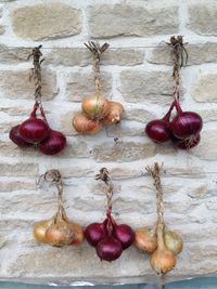 Close-up of fruits hanging on stone