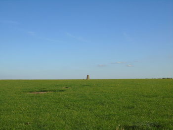 Scenic view of grassy field against clear blue sky