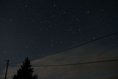 Low angle view of silhouette trees against sky at night