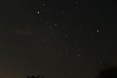 Low angle view of star field against sky at night