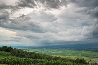 Scenic view of field against sky