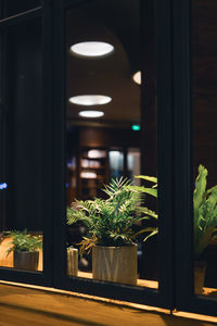 Close-up of potted plant in glass window