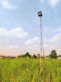 Crops growing on field against sky