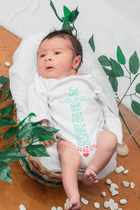 Beautiful newborn baby with eyes open overhead shot, top view, in bamboo fiber basket and surrounded