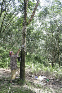 Man feeding by tree in forest