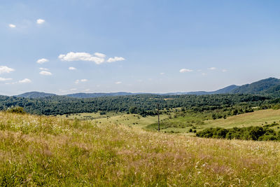 Scenic view of field against sky