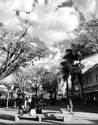 Woman sitting on road by trees against sky in city