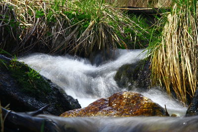 Scenic view of waterfall