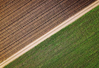 Full frame shot of farm