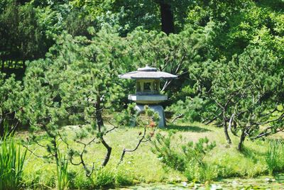 Built structure by trees in forest