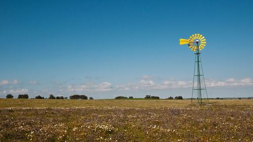 Scenic view of field against blue sky