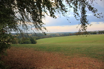 Scenic view of field against sky