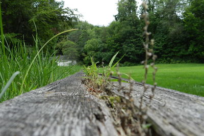 Wooden post on grassy landscape